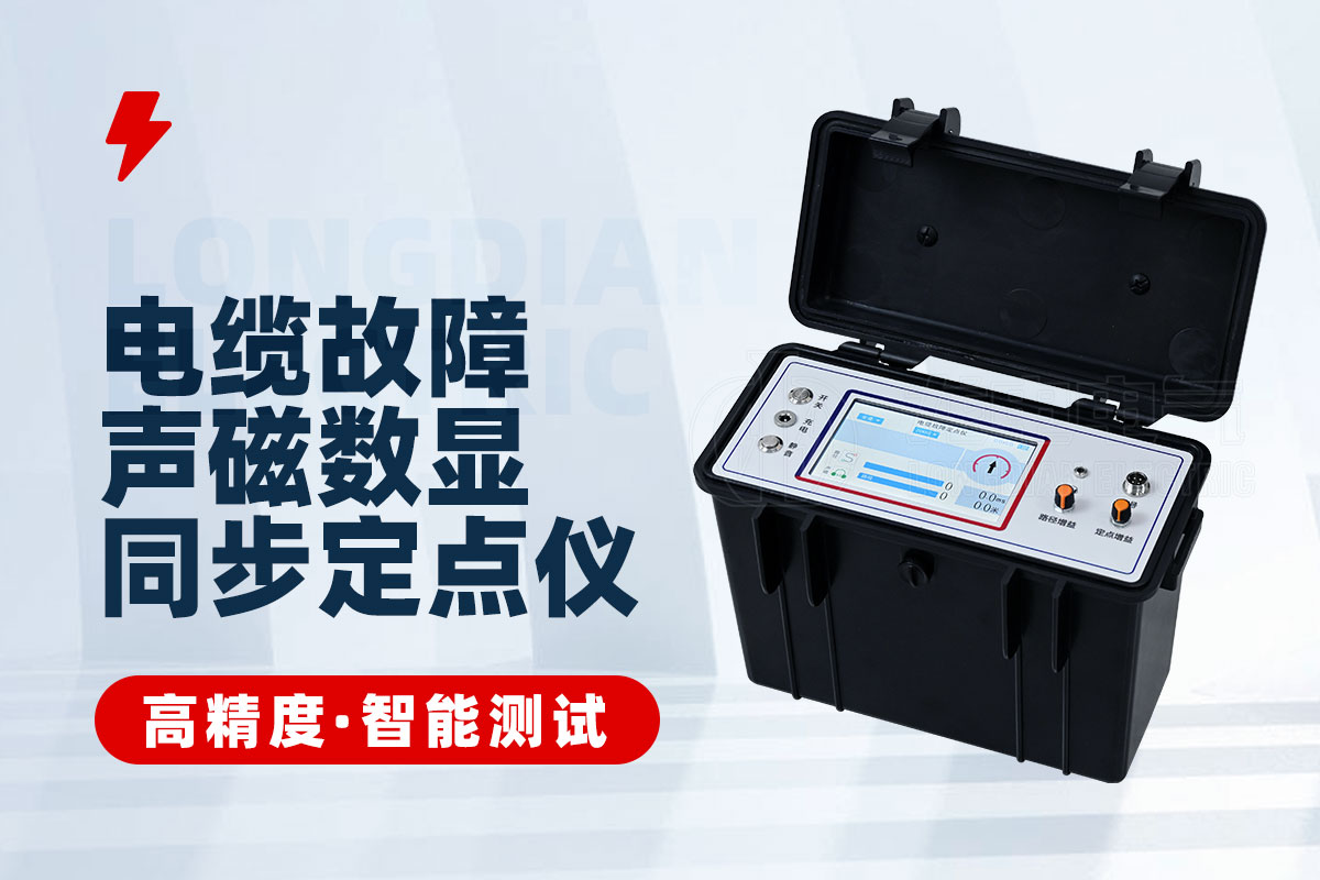 聲磁數顯同步定點儀 聲磁數顯同步定點儀